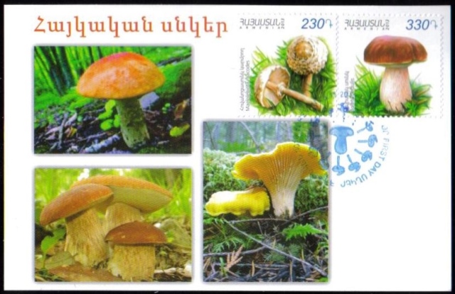 <font =5-642>642-643 Mushrooms Official Maxi Card Scott #--- <br></font>