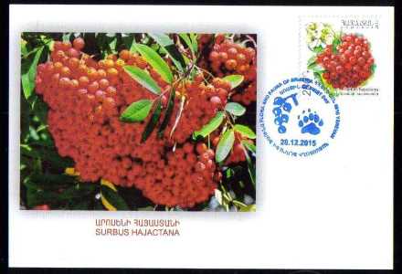 <font =2-743>743 Flowers of Armenia, Official FDC Scott #1055 </font>